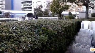 肉肉身材马尾熟女 撸硬在沙发上操 扶着屁股后入撞击 大力抽插晃动奶子